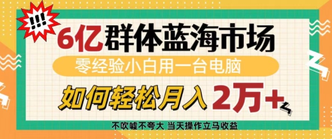 6亿群体蓝海市场，零经验小白用一台电脑，如何轻松月入过w【揭秘】-搞钱专业户