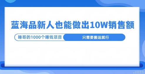 这个蓝海品，新号也能卖出10W的销售额，年底疯狂怼量就能出结果-搞钱专业户