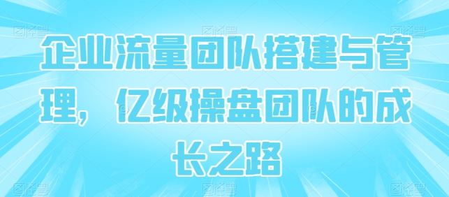 企业流量团队搭建与管理，亿级操盘团队的成长之路-搞钱专业户