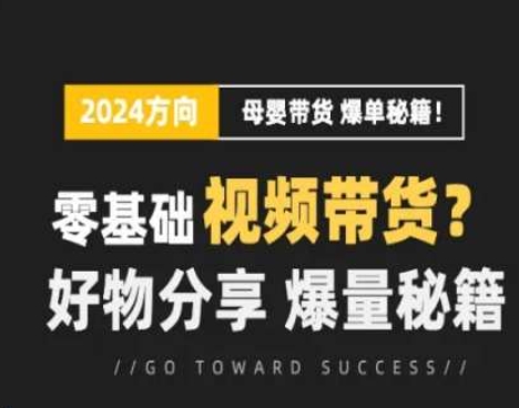 短视频母婴赛道实操流量训练营，零基础视频带货，好物分享，爆量秘籍-搞钱专业户
