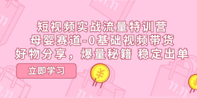 （11373期）短视频实战流量特训营，母婴赛道-0基础带货，好物分享，爆量秘籍 稳定出单-搞钱专业户