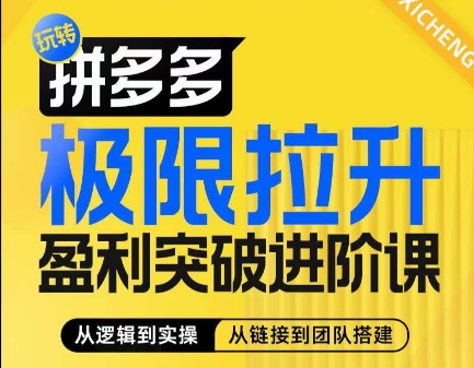 拼多多极限拉升盈利突破进阶课，从算法到玩法，从玩法到团队搭建，体系化系统性帮助商家实现利润提升-搞钱专业户