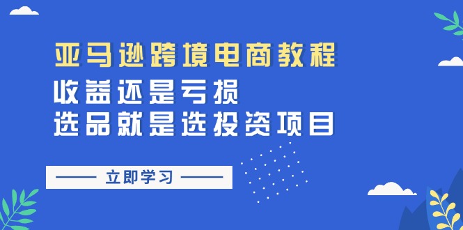 （11432期）亚马逊跨境电商教程：收益还是亏损！选品就是选投资项目-搞钱专业户