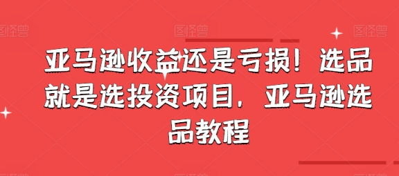 亚马逊收益还是亏损！选品就是选投资项目，亚马逊选品教程-搞钱专业户
