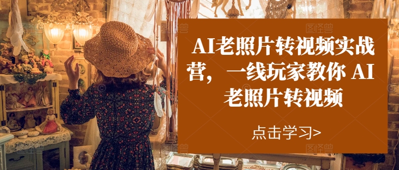 AI老照片转视频实战营，一线玩家教你AI老照片转视频-搞钱专业户