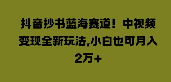 抖音抄书蓝海赛道，中视频变现全新玩法，小白也可月入2W+-搞钱专业户