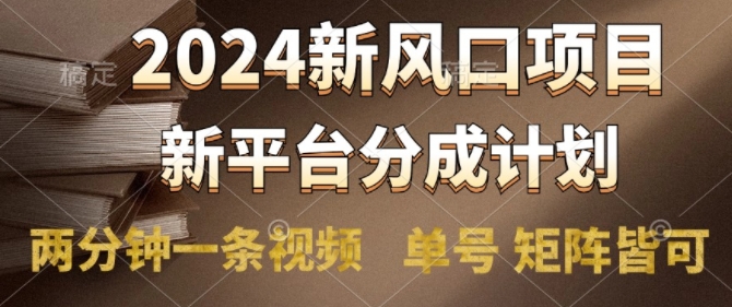 2024风口项目，新平台分成计划，两分钟一条视频，单号 矩阵皆可操作轻松上手月入9000+-搞钱专业户