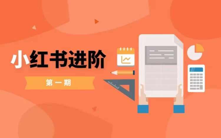 小红书进阶篇，零基础小白实战课，普通人变现的课程-搞钱专业户