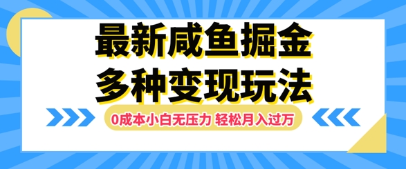 最新咸鱼掘金玩法，0成本小白无压力，多种变现方式，轻松月入过W-搞钱专业户