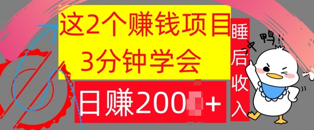 这2个项目，3分钟学会，日赚几张，懒人捡钱-搞钱专业户