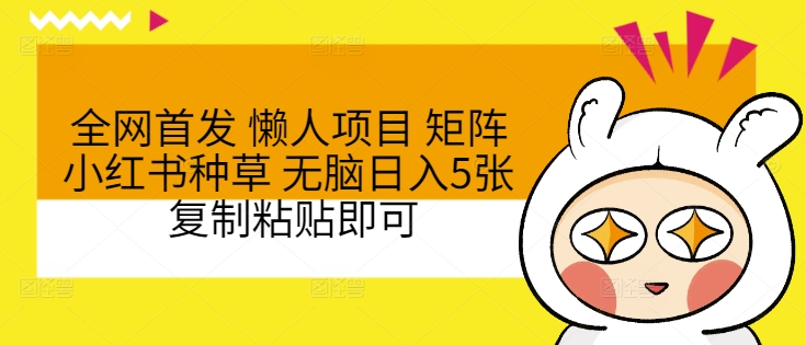 全网首发 懒人项目 矩阵小红书种草 无脑日入5张 复制粘贴即可-搞钱专业户