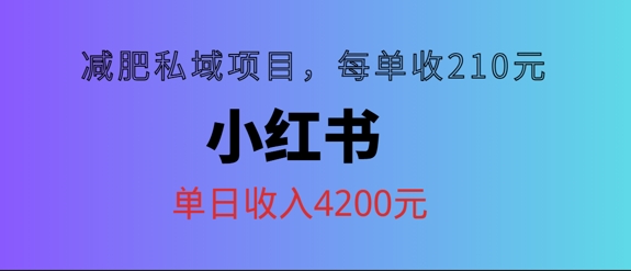 小红书减肥私域项目，每单210元，单日可卖出15单，利润3150-搞钱专业户