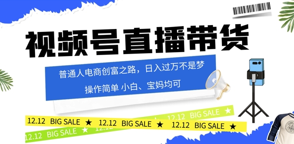 视频号读稿带货，普通人电商创富之路，小白、宝妈均可-搞钱专业户