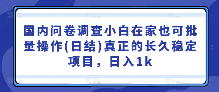 国内问卷调查小白在家也可批量操作(日结)真正的长久稳定项目，日入1k【揭秘】-搞钱专业户