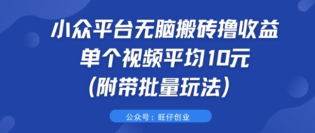 小众平台无脑搬砖撸收益 单个视频平均10元 (附带批量玩法)-搞钱专业户