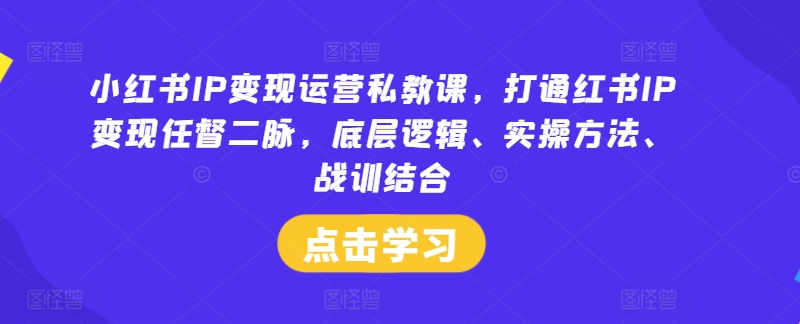 小红书IP变现运营私教课，打通红书IP变现任督二脉，底层逻辑、实操方法、战训结合-搞钱专业户