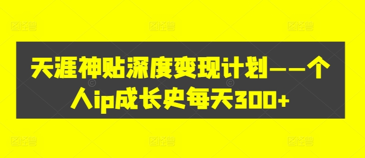 ip300-搞钱专业户