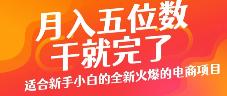 月入五位数，干就完了， 适合新手小白的全新火爆的电商项目-搞钱专业户