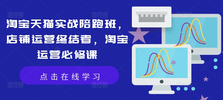 淘宝天猫实战陪跑班，店铺运营终结者，淘宝运营必修课-搞钱专业户