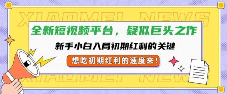 全新短视频平台，新手小白入局初期红利的关键，想吃初期红利的速度来-搞钱专业户