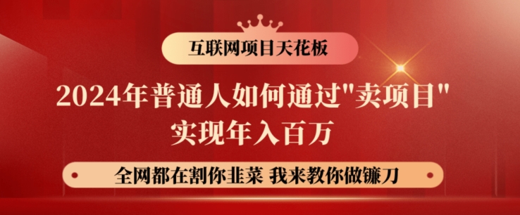 2024年普通人如何通过”卖项目”实现年入百万-搞钱专业户