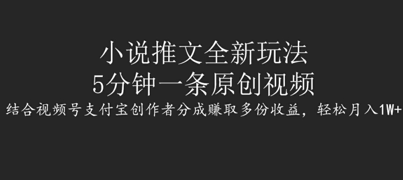 小说推文全新玩法，5分钟一条原创视频，结合视频号支付宝创作者分成赚取多份收益，轻松月入1W+-搞钱专业户