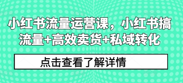 小红书流量运营课，小红书搞流量+高效卖货+私域转化-搞钱专业户