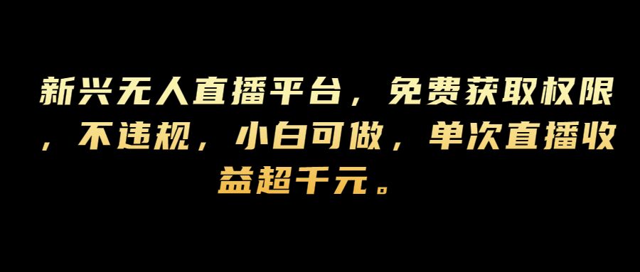 新兴无人直播平台，免费获取权限，不违规，小白可做，单次直播收益超千元-搞钱专业户