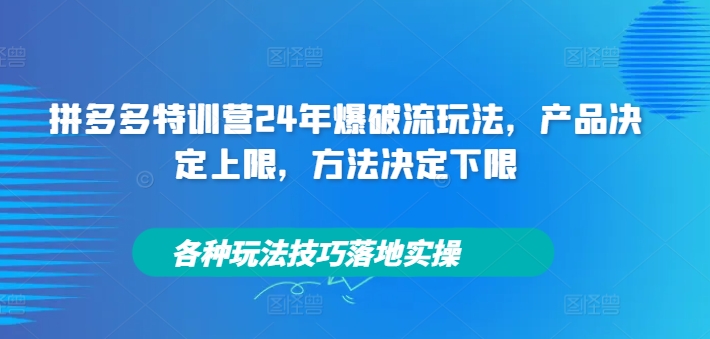 拼多多特训营24年爆破流玩法，产品决定上限，方法决定下限，各种玩法技巧落地实操-搞钱专业户