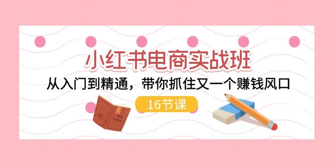小红书电商实战班，从入门到精通，带你抓住又一个赚钱风口（17节）-搞钱专业户