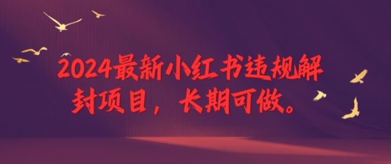 2024最新小红书违规解封项目，长期可做，一个可以做到退休的项目【揭秘】-搞钱专业户