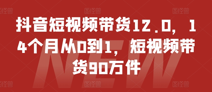 抖音短视频带货12.0，14个月从0到1，短视频带货90万件-搞钱专业户