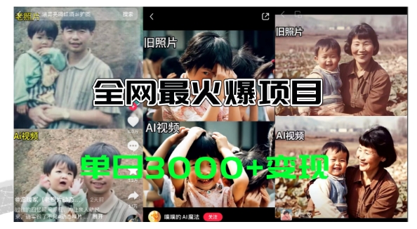 全网爆火的AI让老照片动起来教程，蹭热点日赚3k+，内含免费工具一键可生成-搞钱专业户