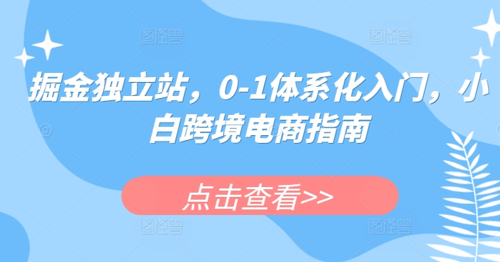 掘金独立站，0-1体系化入门，小白跨境电商指南-搞钱专业户