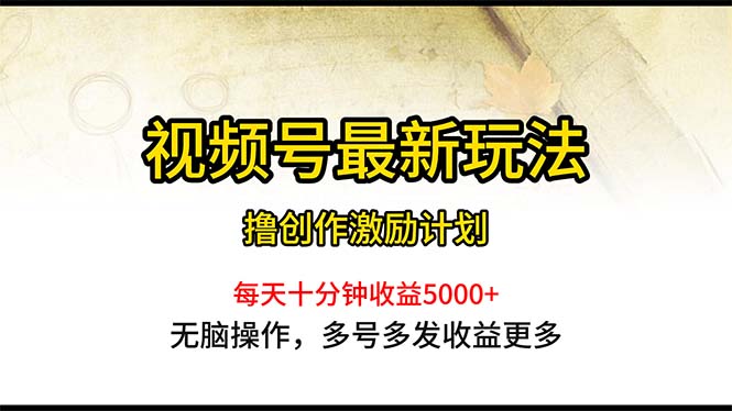 （10591期）视频号最新玩法，每日一小时月入5000+-搞钱专业户