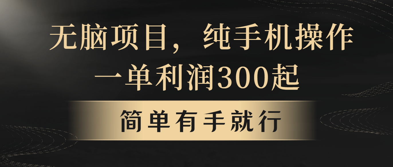 （10589期）无脑项目，一单几百块，轻松月入5w+，看完就能直接操作-搞钱专业户