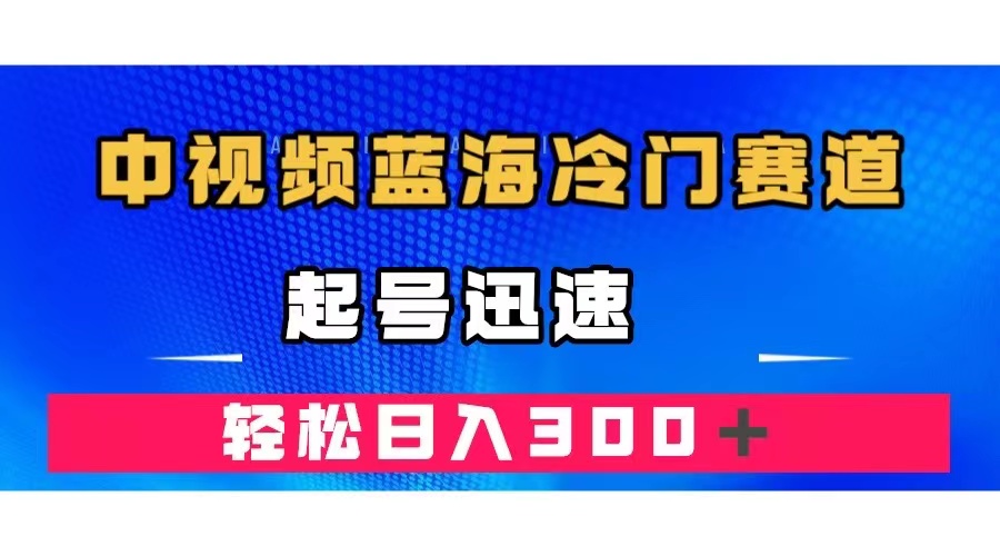 （7449期）中视频蓝海冷门赛道，韩国视频奇闻解说，起号迅速，日入300＋-搞钱专业户