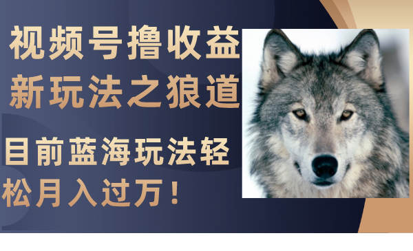 （8042期）视频号撸收益新玩法之狼道，目前蓝海玩法轻松月入过万！-搞钱专业户