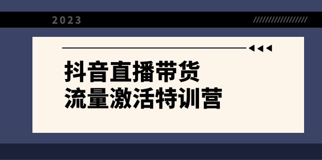 （8185期）抖音直播带货-流量激活特训营，入行新手小白主播必学（21节课+资料）-搞钱专业户