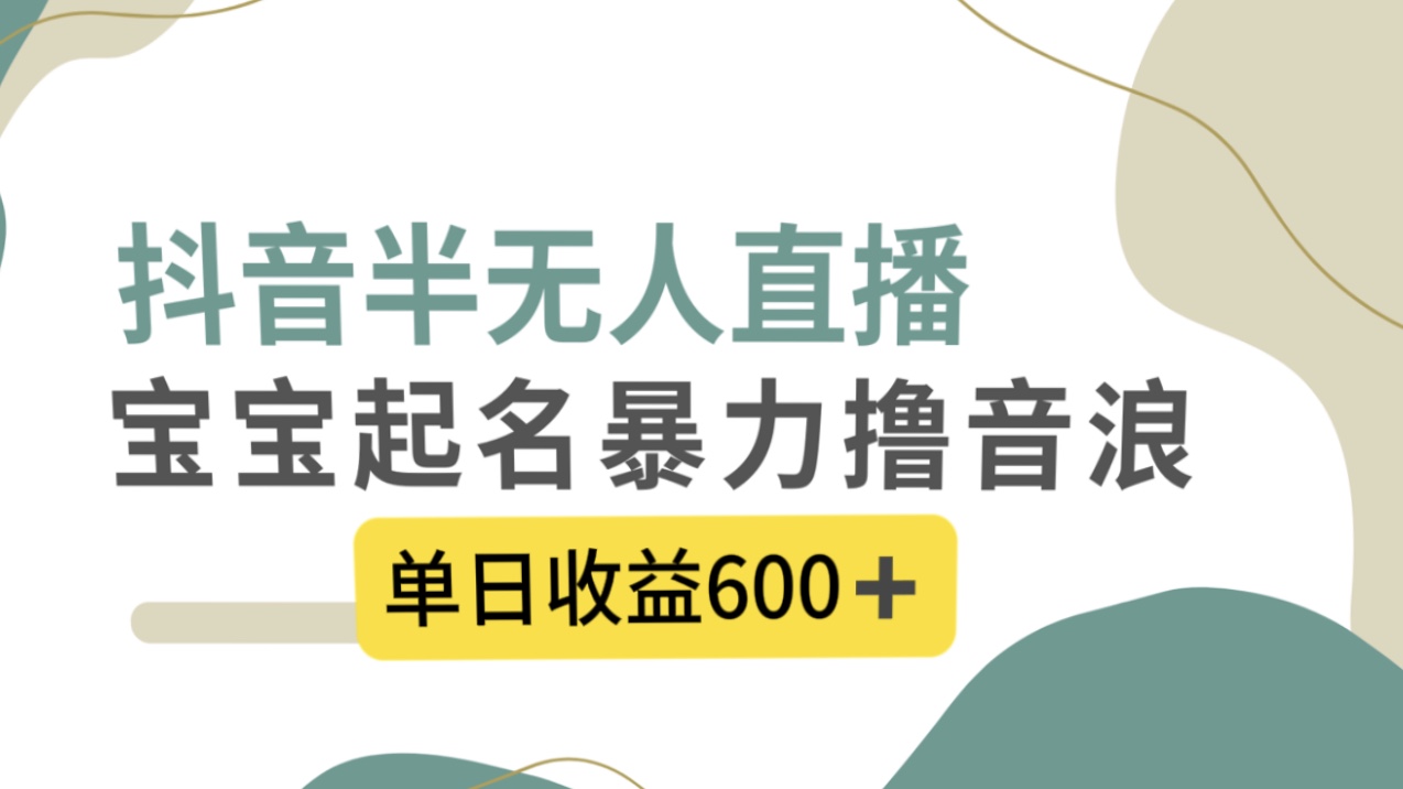 （8192期）抖音半无人直播，宝宝起名，暴力撸音浪，单日收益600+-搞钱专业户
