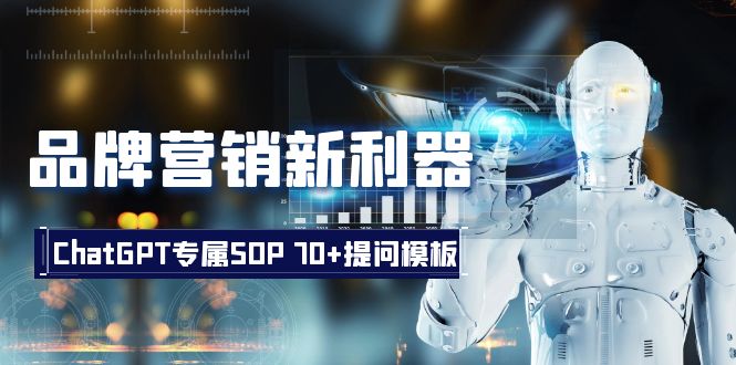 （8402期）品牌营销新利器：ChatGPT专属SOP，70+提问模板-搞钱专业户
