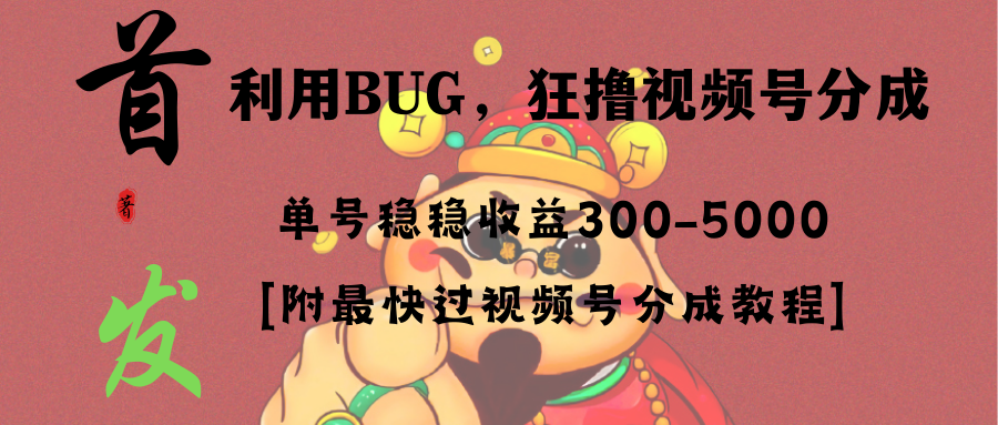（8549期）全网独家首发，视频号BUG，超短期项目，单号每日净收益300-5000！-搞钱专业户