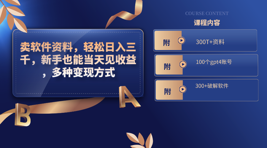 （8582期）卖软件资料，轻松日入三千，新手也能当天见收益，多种变现方式，（附300…-搞钱专业户