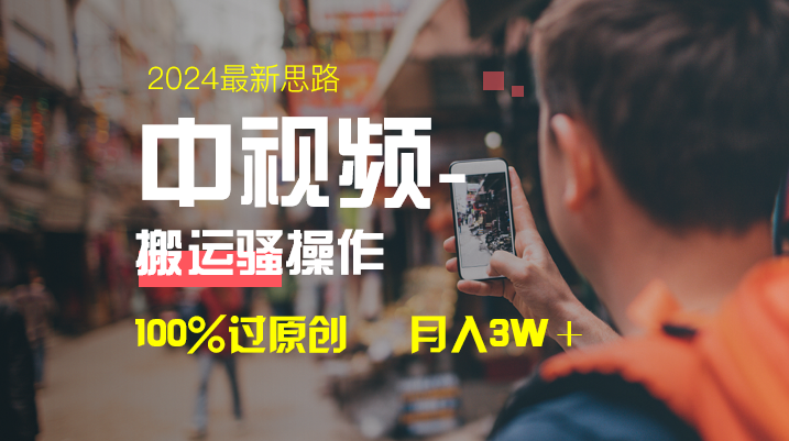 （8667期）中视频新思路，双重去重100%过原创，一键分发多平台变现，简单无脑，日…-搞钱专业户