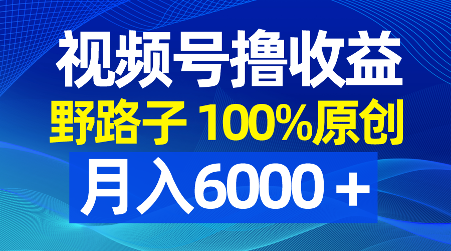 （8679期）视频号野路子撸收益，100%原创，条条爆款，月入6000＋-搞钱专业户