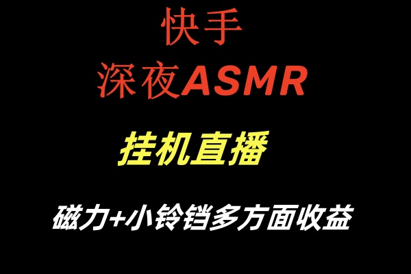 （8757期）快手深夜ASMR挂机直播磁力+小铃铛多方面收益-搞钱专业户