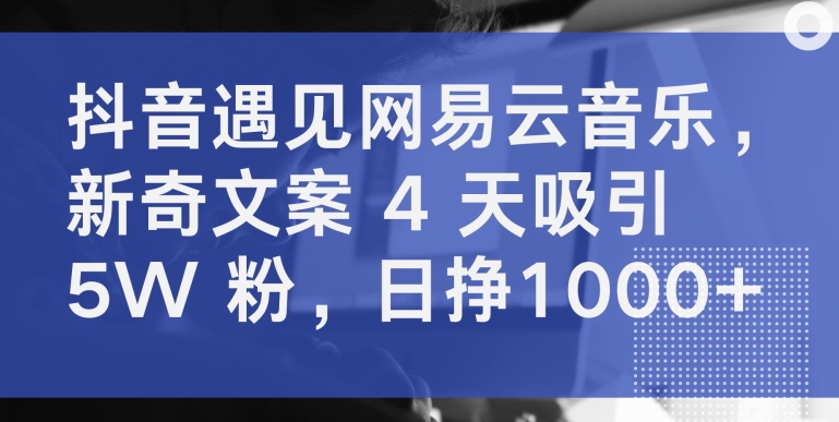 抖音遇见网易云音乐，新奇文案 4 天吸引 5W 粉，日挣1000+-搞钱专业户