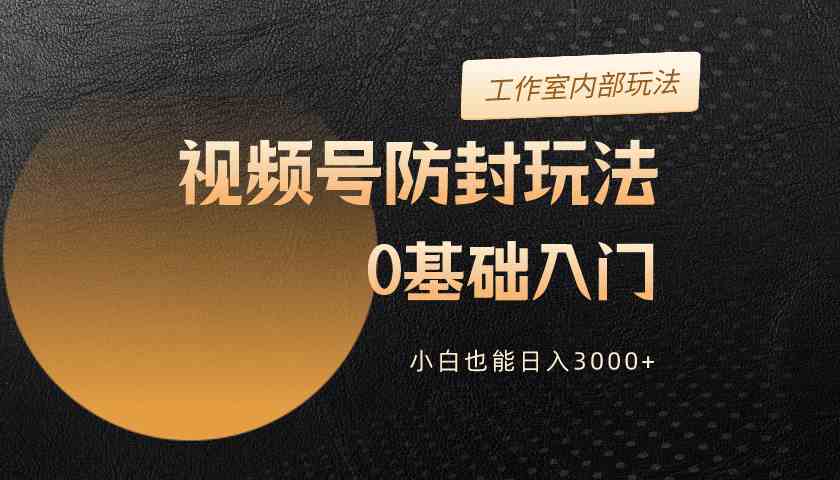 （10107期）2024视频号升级防封玩法，零基础入门，小白也能日入3000+-搞钱专业户