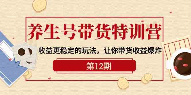 （10110期）养生号带货特训营【12期】收益更稳定的玩法，让你带货收益爆炸-9节直播课-搞钱专业户