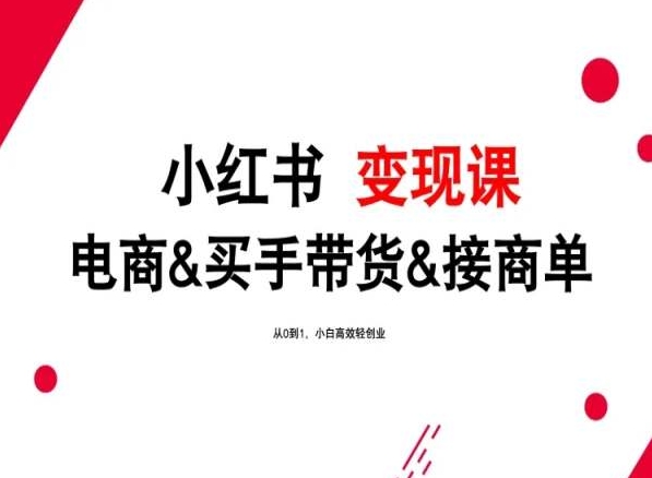 2024年最新小红书变现课，电商&买手带货&接商单，从0到1，小白高效轻创业-搞钱专业户